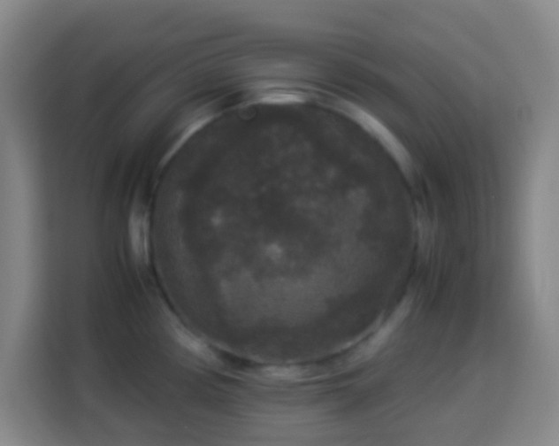 X0000113951194200910021459