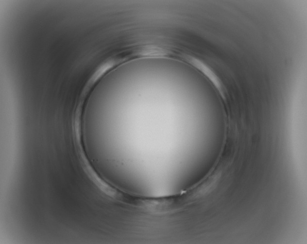 X0000113951195200910021459