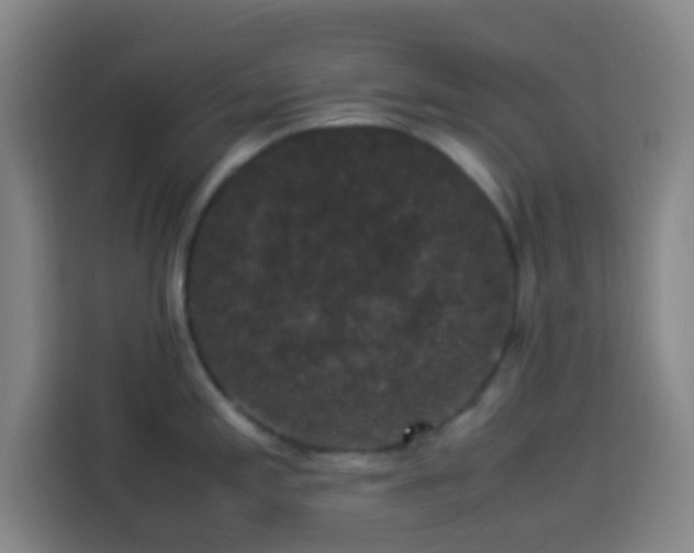 X0000113951197200910021459