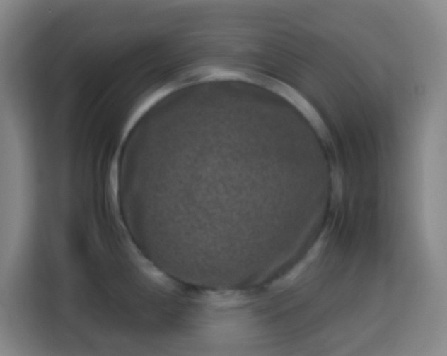 X0000113951198200910021459