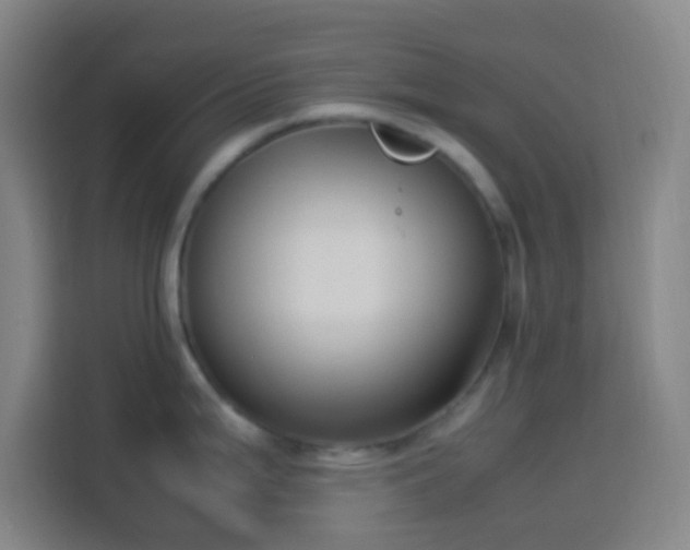 X0000113951199200910021459