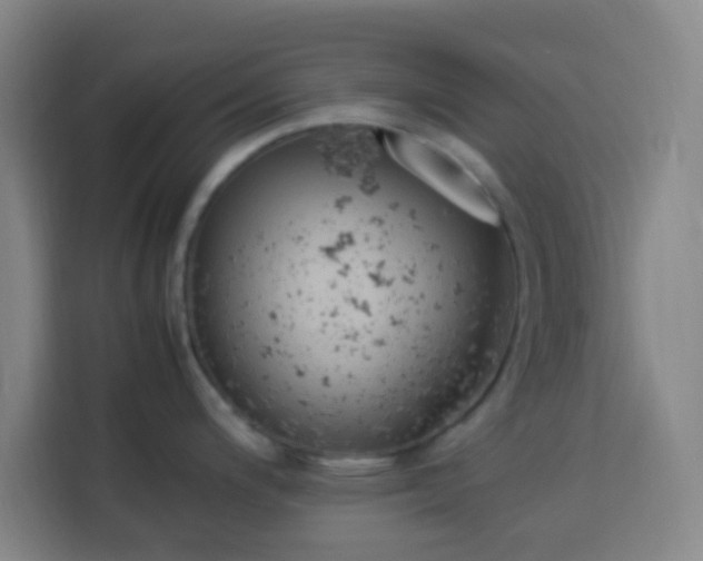 X0000113951200200910021459