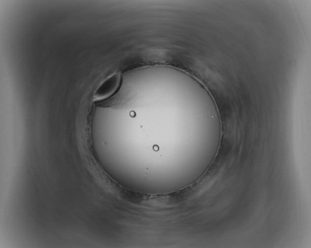 X0000113951201200910021459