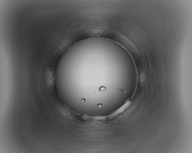 X0000113951204200910021459