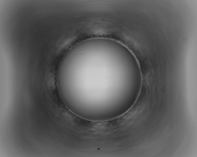 X0000113951205200910021459