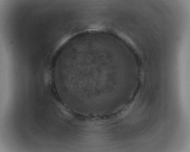 X0000113951208200910021459