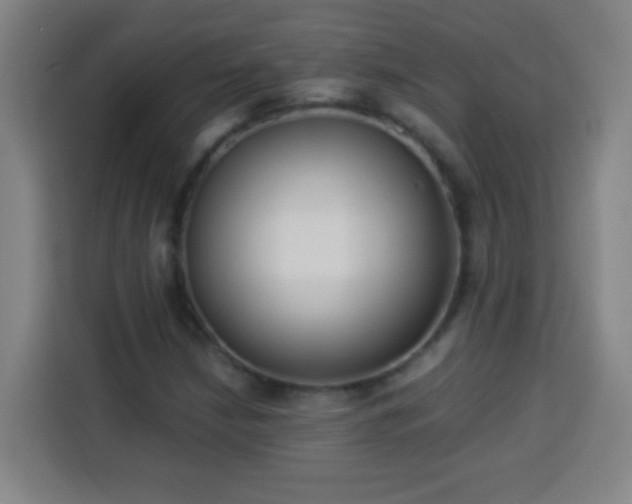X0000113951210200910021459