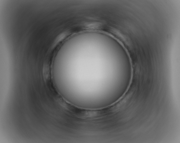 X0000113951211200910021459