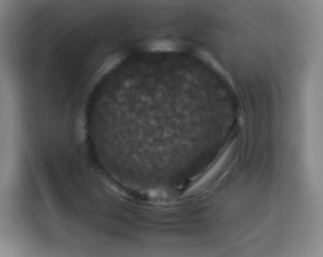 X0000113951213200910021459