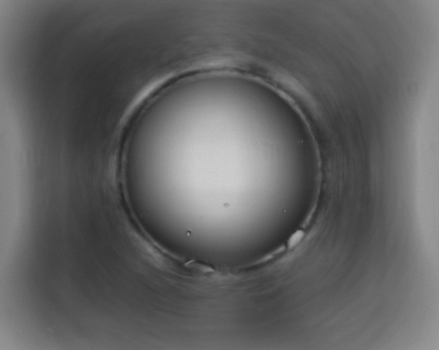 X0000113951216200910021459