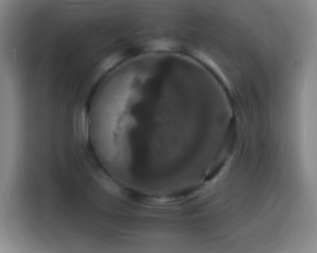 X0000113951219200910021459