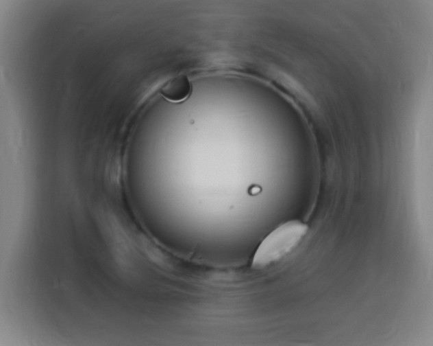 X0000113951220200910021459