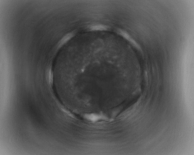 X0000113951221200910021459