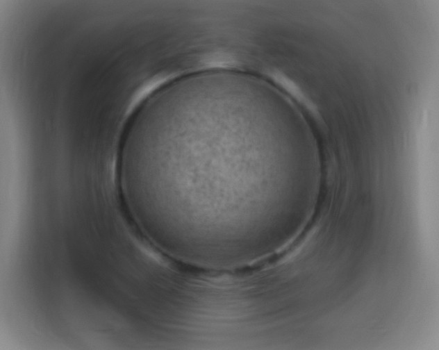 X0000113951222200910021459