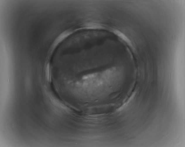 X0000113951223200910021459
