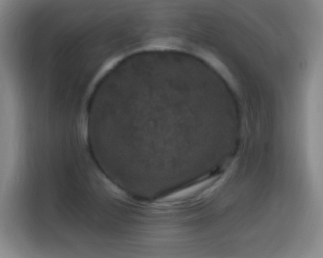 X0000113951224200910021459