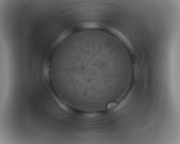 X0000113951225200910021459