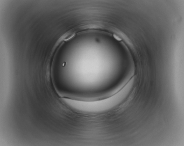 X0000113951226200910021459