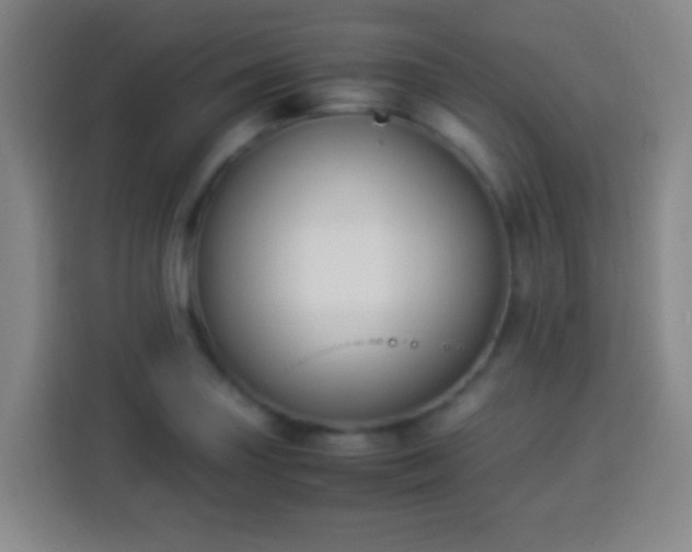 X0000113951227200910021459