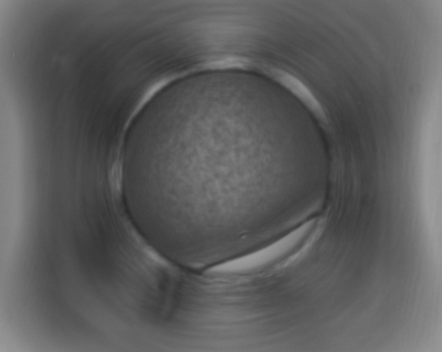 X0000113951228200910021459