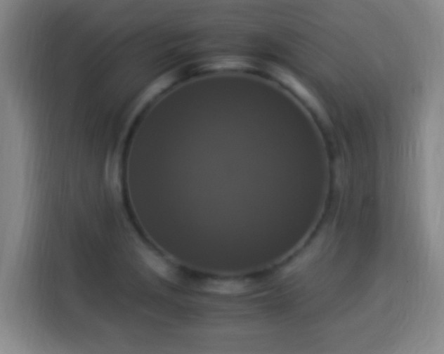 X0000113951229200910021459