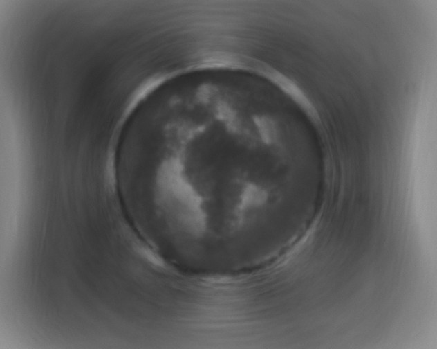 X0000113951230200910021459