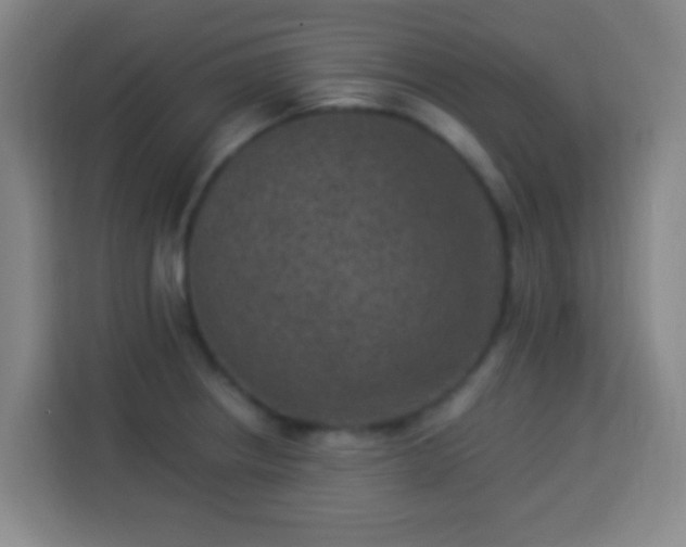 X0000113951234200910021459