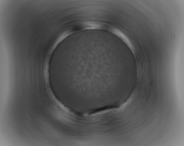 X0000113951235200910021459