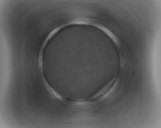 X0000113951240200910021459
