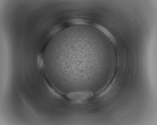 X0000113951241200910021459