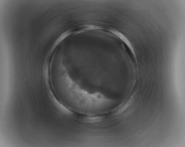 X0000113951243200910021459