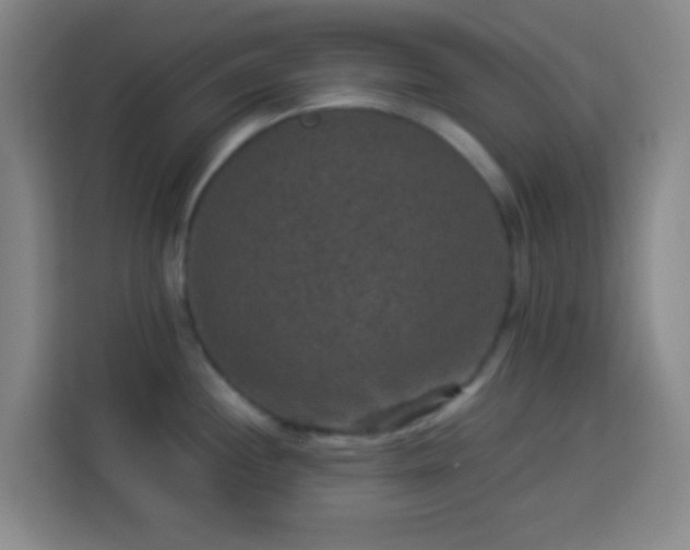X0000113951244200910021459