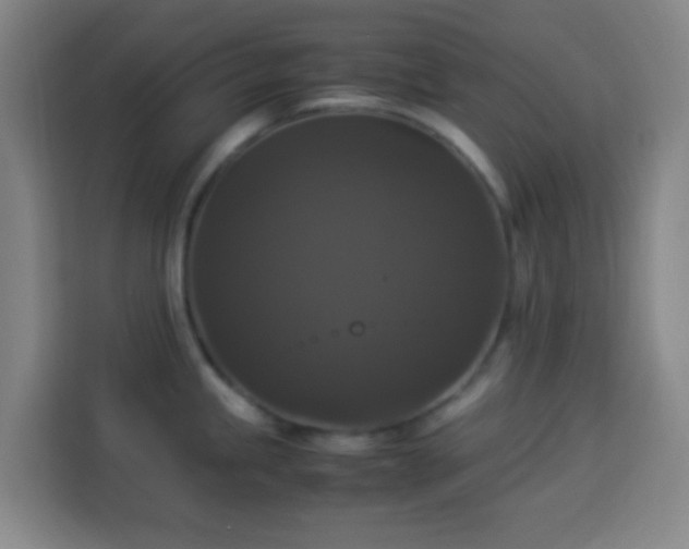 X0000113951245200910021459