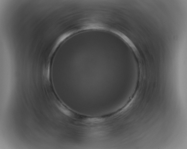 X0000113951246200910021459
