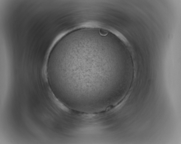 X0000113951248200910021459