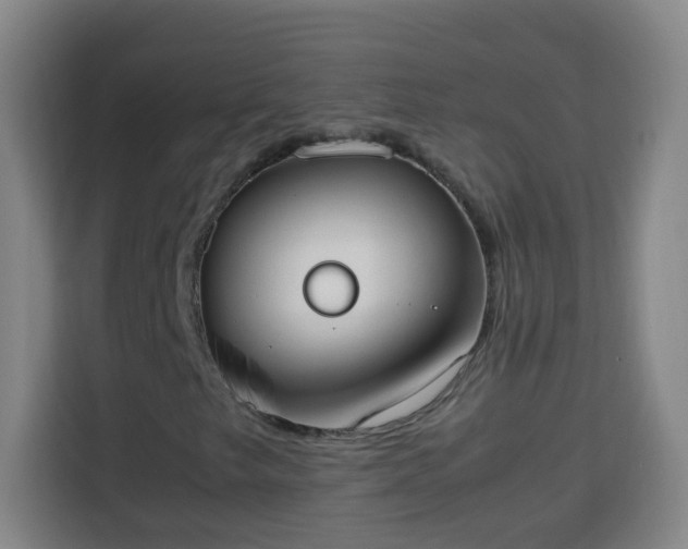 X0000113951249200910021459