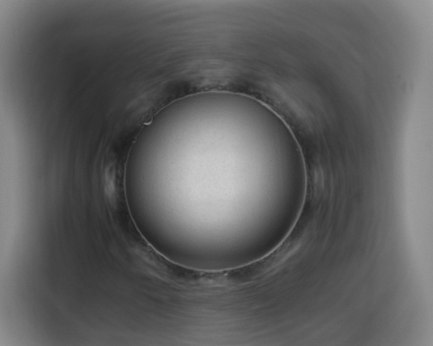 X0000113951250200910021459