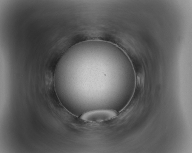 X0000113951251200910021459