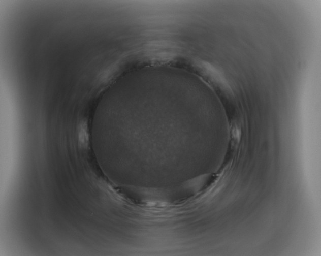X0000113951252200910021459