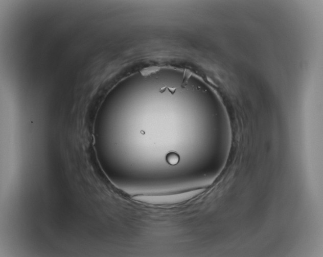 X0000113951253200910021459