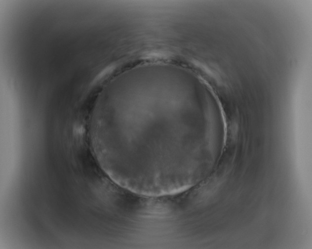 X0000113951254200910021459