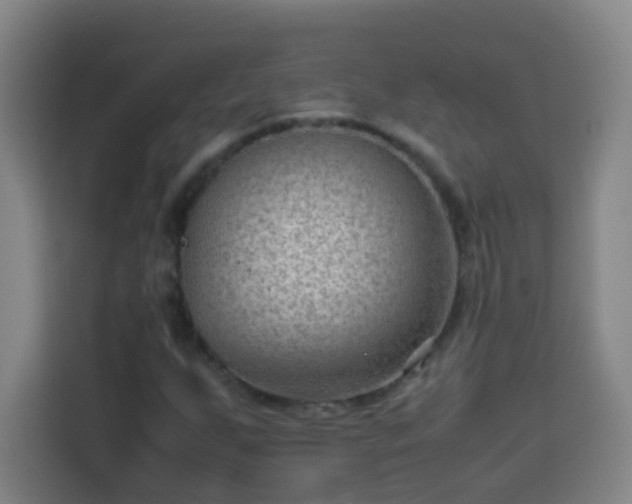 X0000113951255200910021459