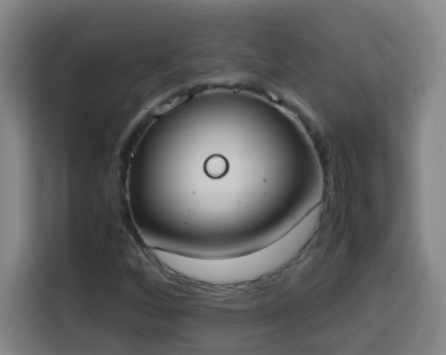 X0000113951256200910021459