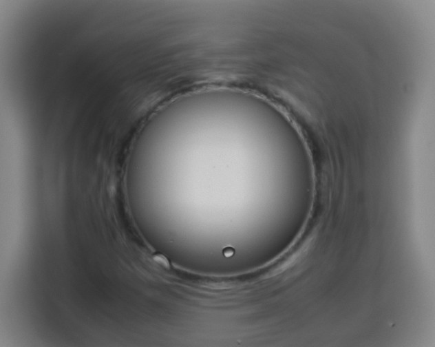 X0000113951257200910021459