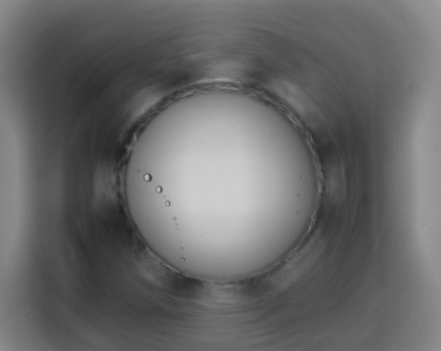 X0000113951258200910021459