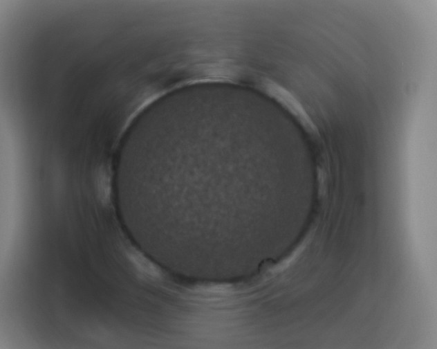 X0000113951260200910021459