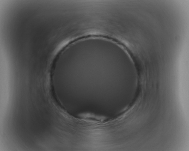 X0000113951263200910021458