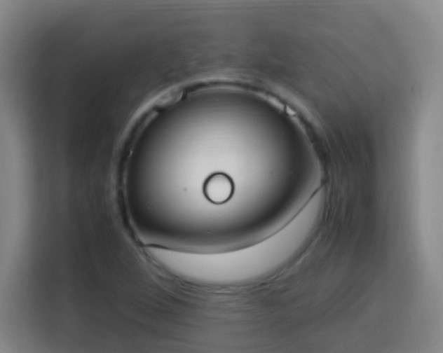 X0000113951264200910021458