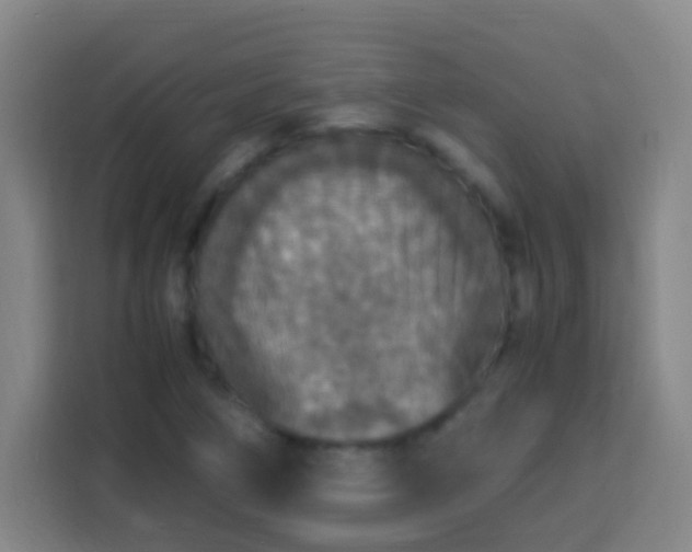X0000113951266200910021458