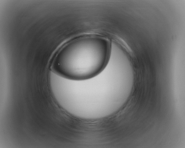X0000113951268200910021458